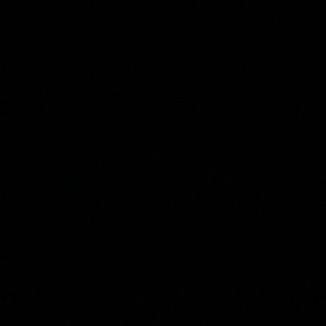 Meet your Posher, Ali